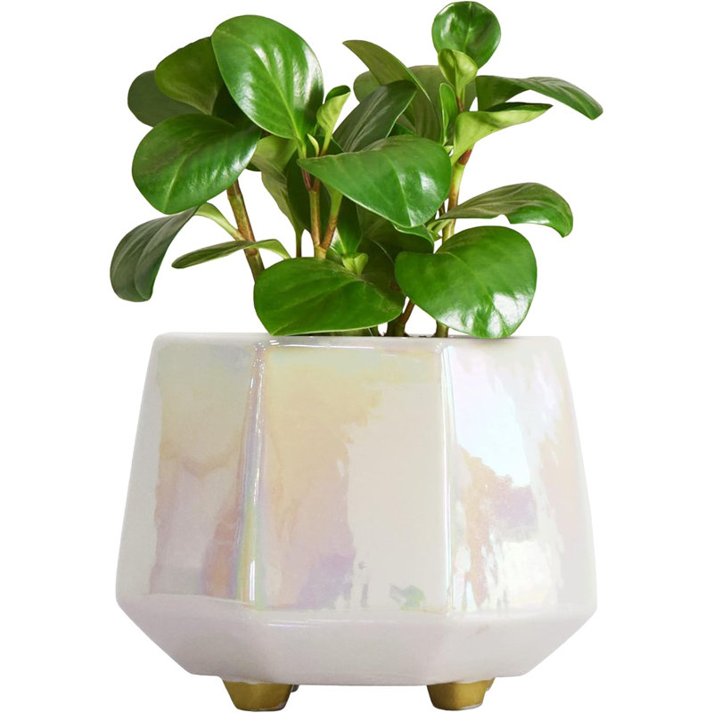 6" Ceramic Planter With Drainage