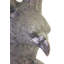 Statue aigle Dibbie Freedom