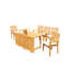 Hari Outdoor 6 - Piece Teak Dining Set