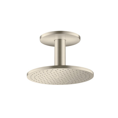 ShowerSolutions Showerhead 250 2-Jet Ceiling Connection