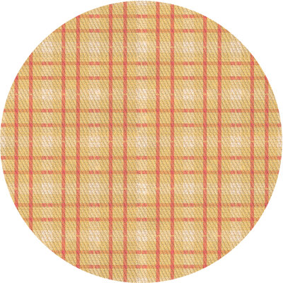 Plaid Indoor Rug