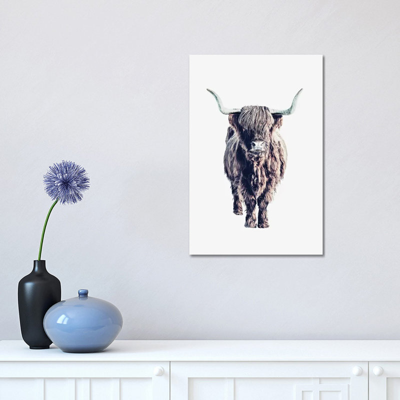 Highland Cattle Colin White by Monika Strigel - Wrapped Canvas Print, 30.48 cm H x 45.72 cm W