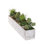 Faux Succulent in Planter