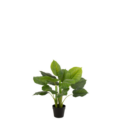 55 cm H Faux Pothos Plant in Plastic Planter