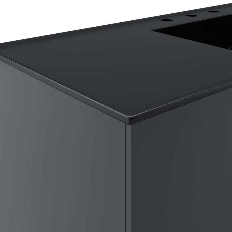 Vitality 48" Gray Black Wall-Mount Single Sink Bathroom Vanity