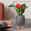Honeycomb Style Egg Planter with Feet-57886037-99158578