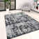 Detwiler Abstract Cotton Area Rug