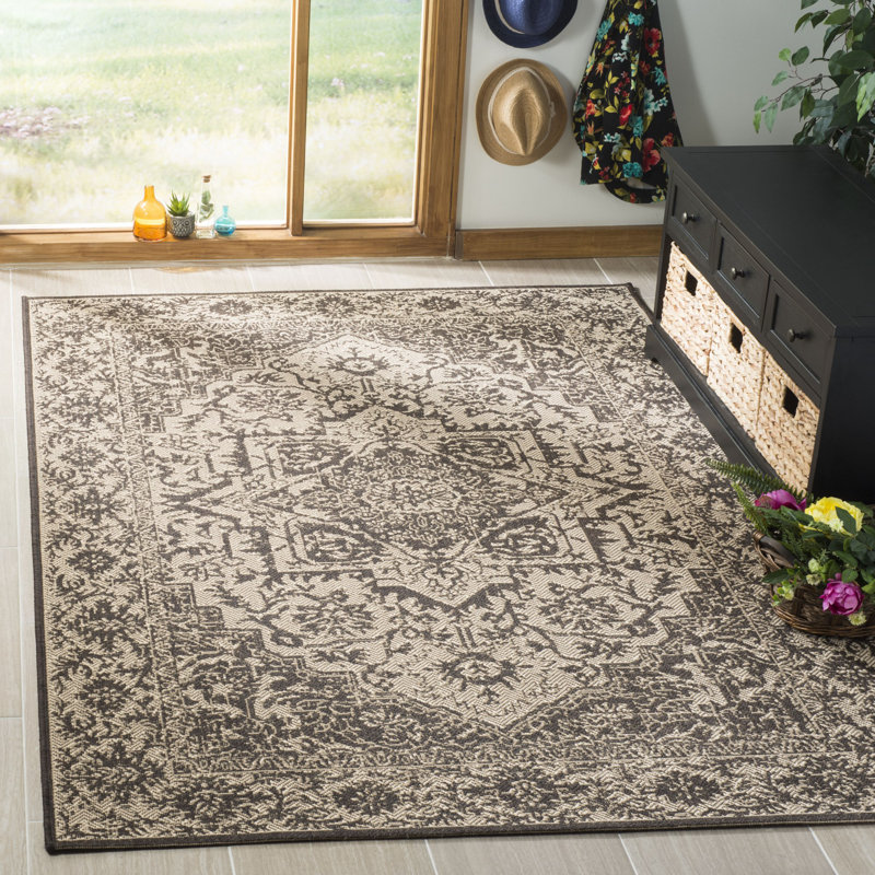 Donivin Performance Oriental Indoor/Outdoor Area Rug, Rectangle 4' x 6'