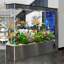 Aquarium 90-100 gallons-892358782