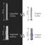 Elizebeth 65.3cm 2 Wall Towel Bar