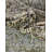 Alresford Oriental Indoor Rug-30047032