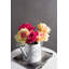 Tige de rose-828026673