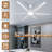 Ceiling Fan54654