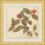 Pressed Flowers 1 Print