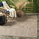 Debriana Performance Solid Color Indoor/Outdoor Area Rug