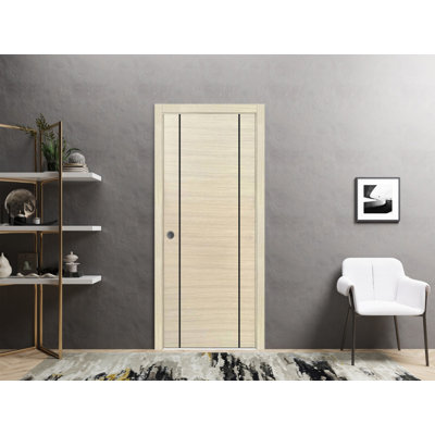 SARTODOORS Barn Door