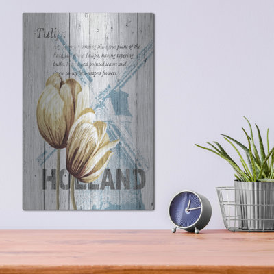 " Holland Tulips " by Alicia Soave