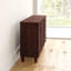 Morgan 15 Pair Shoe Storage Cabinet-1013852465