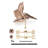 35'' H Metal Nautical & Beach Weathervane