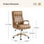 Conan 63.5cm W Mid-Century Modern Office Chair with Height Adjustable-1551721631