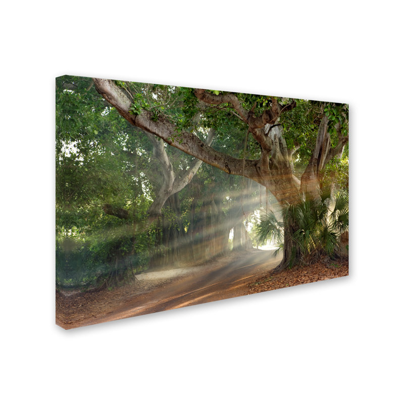 Alexan «Boca Grande Banyon Street», reproduction de photo sur toile tendue, H 12 po x l 19 po