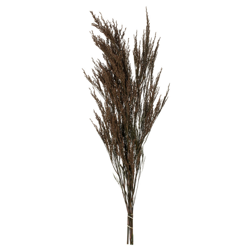 40'' Grass