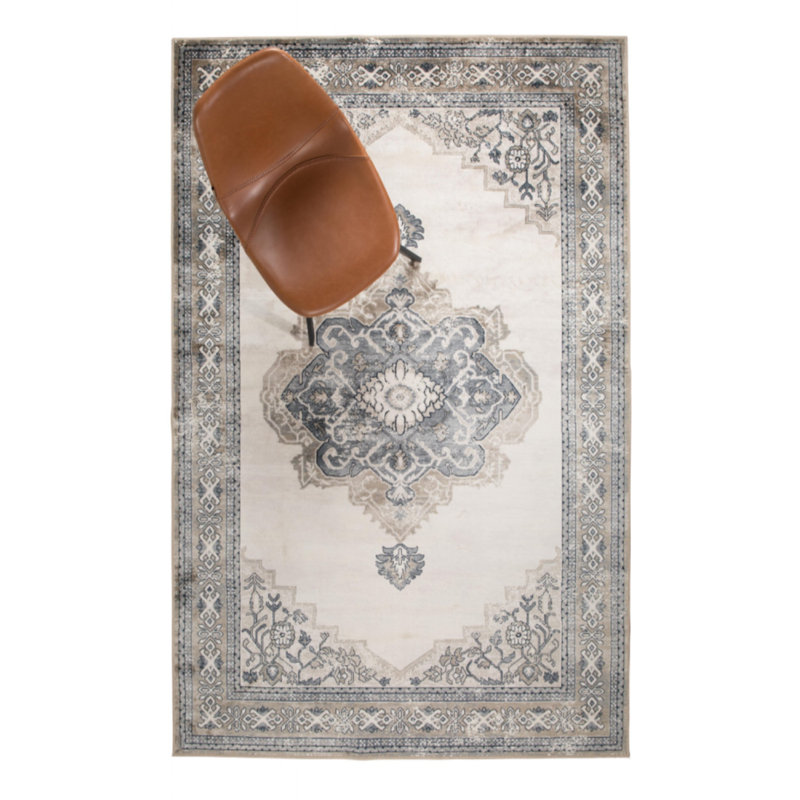 Mahal Oriental Area Rug in Gray/Brown/Beige, Rectangle 6' x 8'