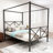 Elanny Four Poster Bed Metal Canopy Bed Frame, Platform Bed Frame with X Shaped Frame-1868452835