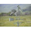 Girouette coq-29251986-105789266