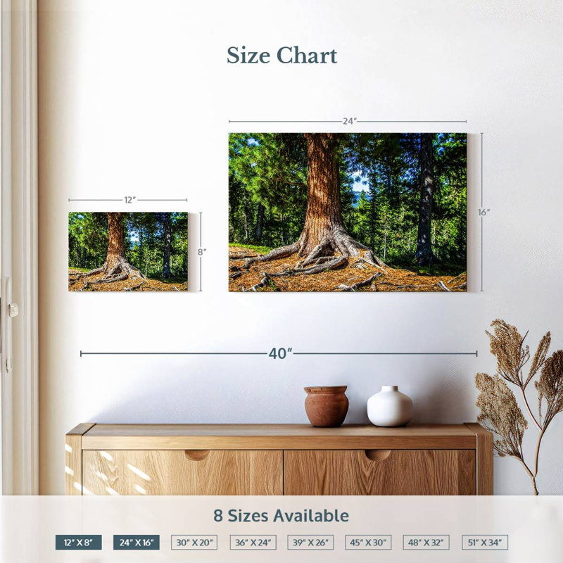 Harnek Sunny Forest, H 16 po x l 24 po