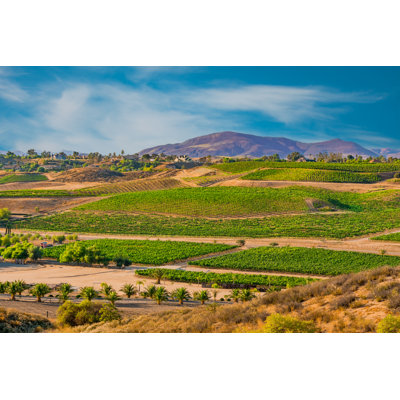 " Temecula Valley " by Patricia Elaine Thomas