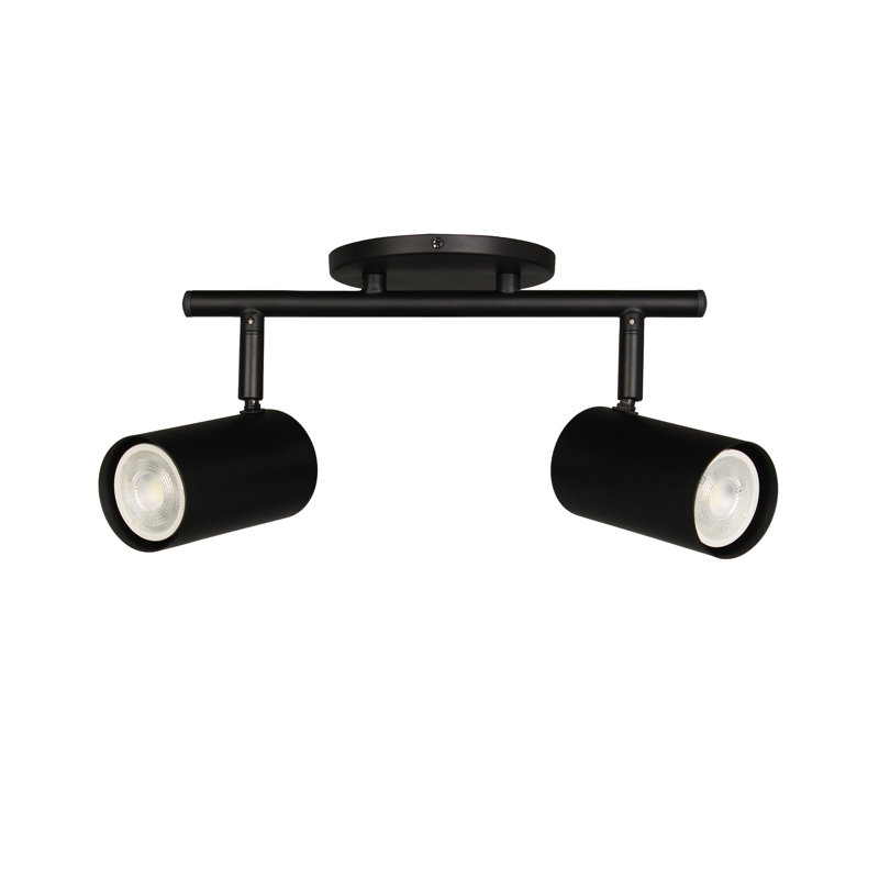 Taylor Track Light - 2 Light, Matte Black