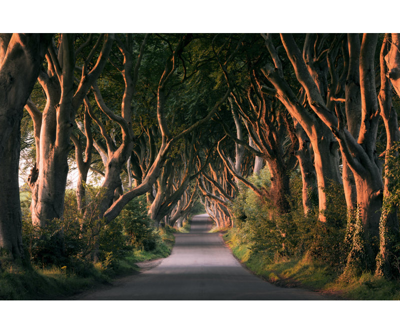 Wrapped Canvas Print, 60.96cm H x 91.44cm W