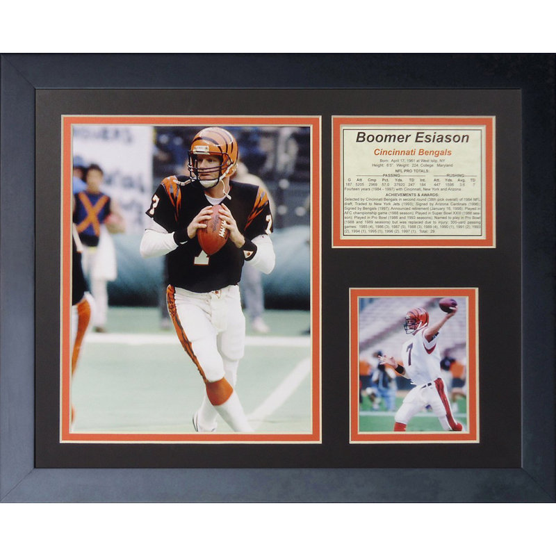 Single Picture Frame Memorabilia