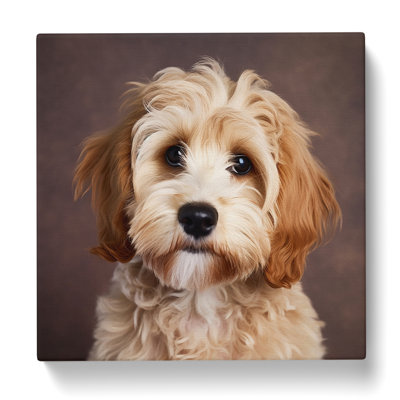 Cockapoo Photograph No.1 - Wrapped Canvas - Framed Print