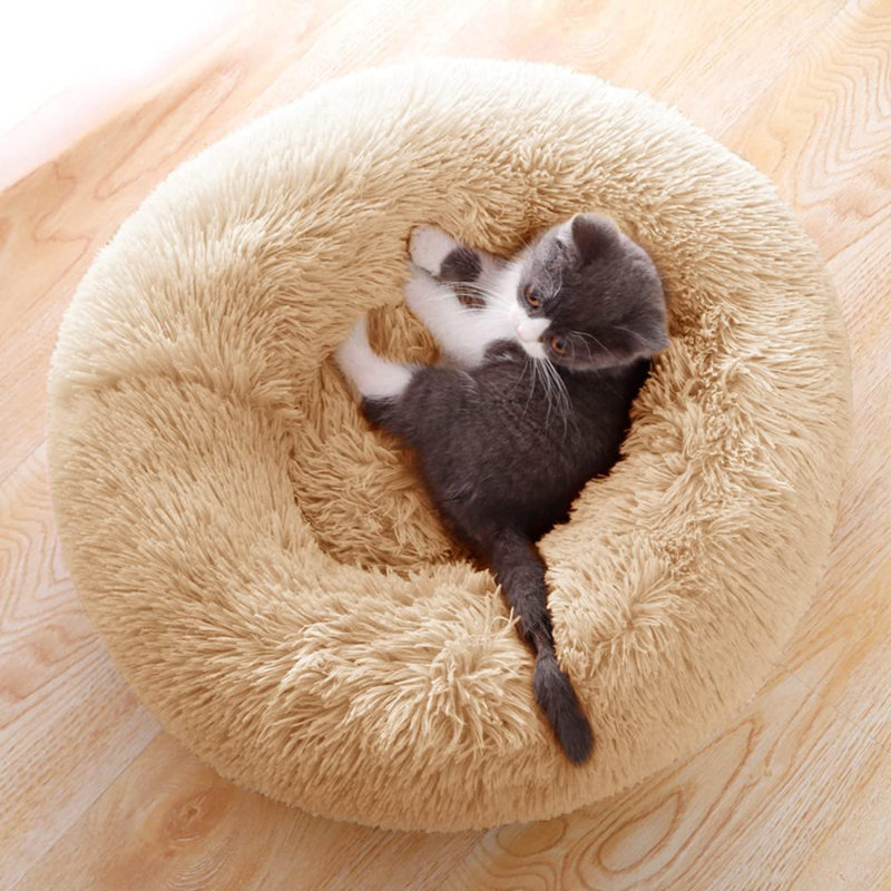 Jaiden Orthopedic Fleece Pet Bed, 50cm W x 50cm D, Tan