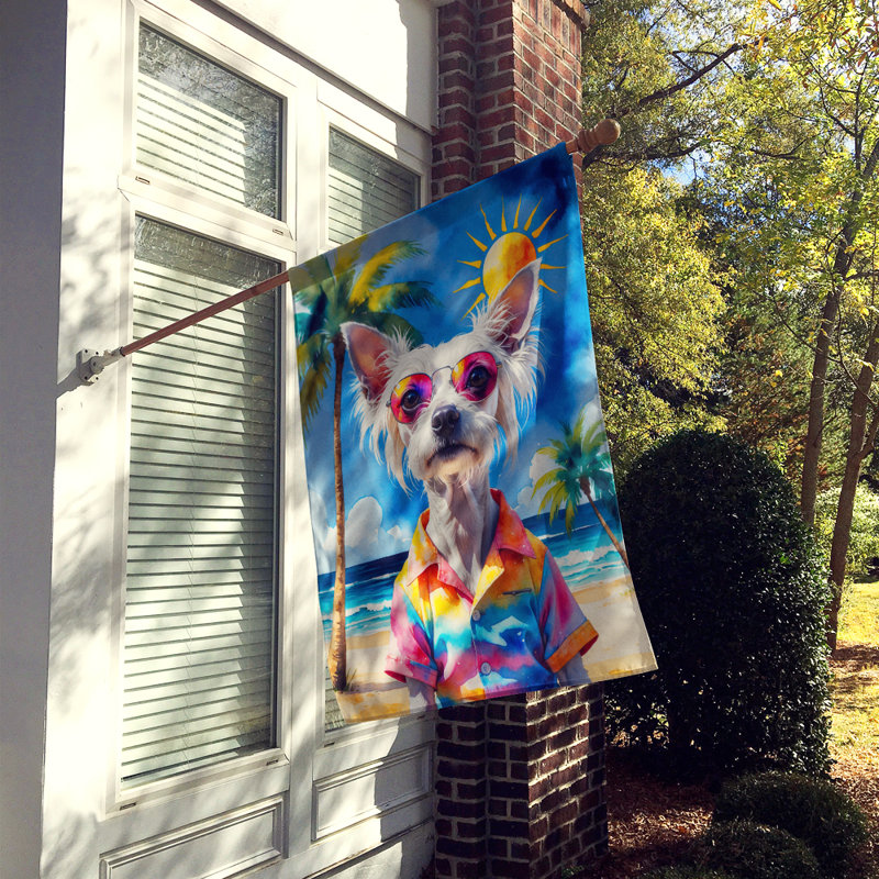 Drapeau de la maison esquimau américain, Chien chinois à crête