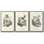 French Dogs IV 3 pièces-97794995-97794997