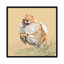 «Pomeranian» par Vicki Newton, reproduction sur toile tendue-72416898-72416899-72416905