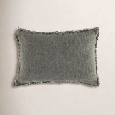 Tarbett Fringed Indoor/Outdoor Throw Pillow