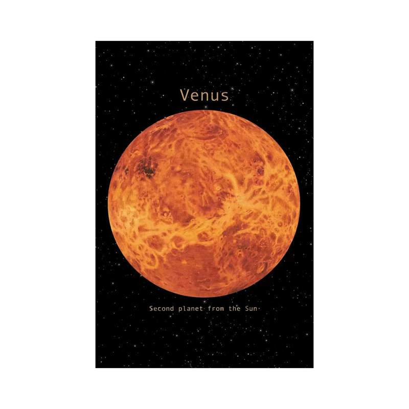 Venus by Terry Fan - Gallery-Wrapped Canvas Giclée on Canvas, 20.32 cm H x 30.48 cm W, Canvas