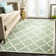 Roan Trellis Wool Hand Woven Area Rug