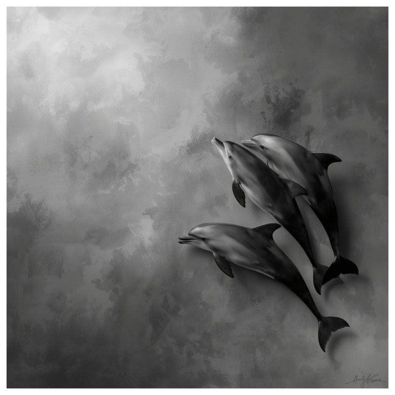 Rideaux de douche Three Dolphins, 70in W x 84in H