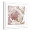 Intime rosé II - photographie-60493309-60493308