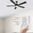 Briyan 52'' Ceiling Fan with LED Lights-683192709