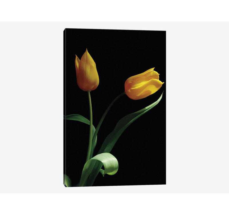 «Trust», impression sur toile, H 18 po x l 12 po x P 1,5 po, Pas de tapis, Toile tendue