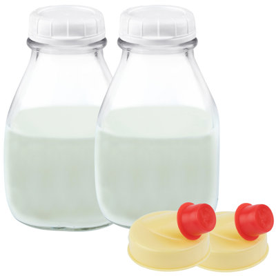 Brovey 16oz. Glass Food Storage Container