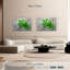 Four Leaf Clover-1697345298