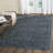 Patrick Paradise Performance Oriental Rug-604708455