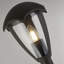 Grizzly Transparent Lamp Post (Full)